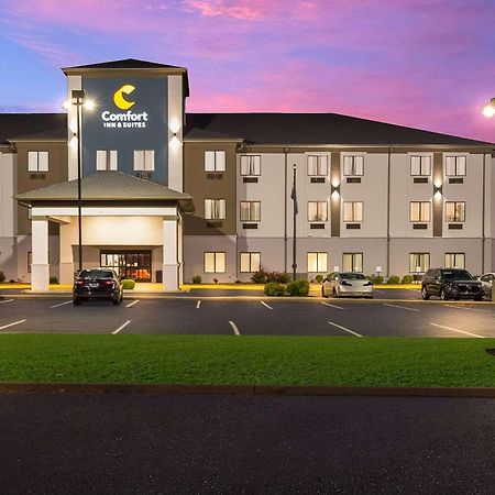 Comfort Inn & Suites Cave City Extérieur photo