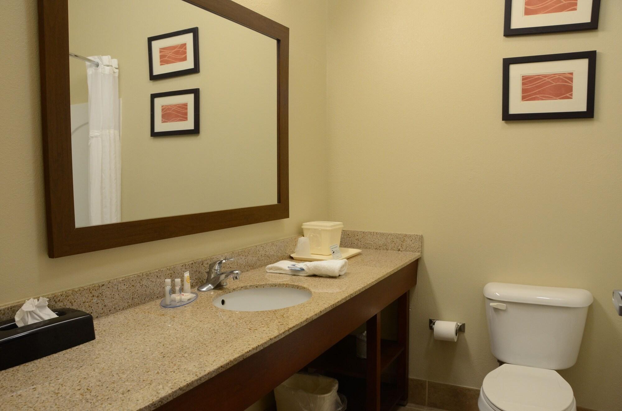 Comfort Inn & Suites Cave City Extérieur photo